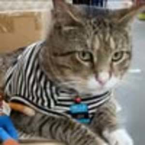 Meet your Posher, Ann